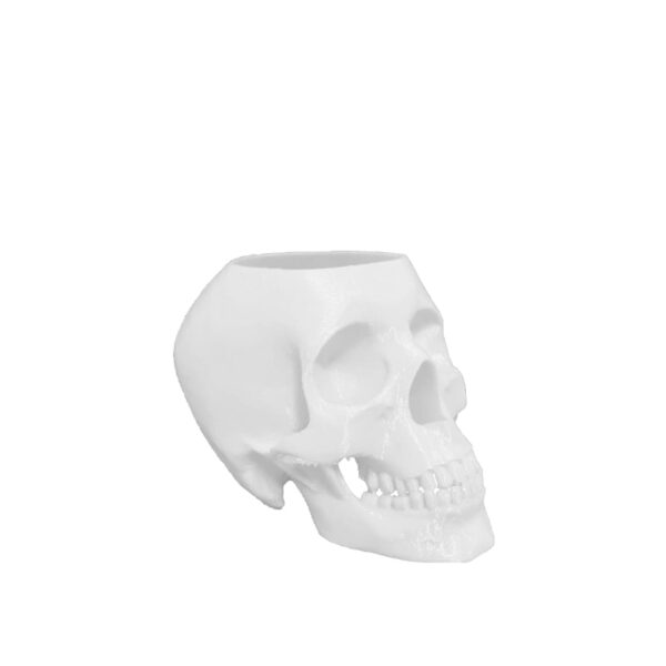 Suport Skull